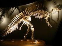 Venice's only dinosaur. Picture courtesy of www.msn.ve.it