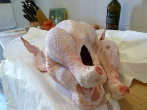 My first Italian turkey, fresh from the macellaria (butcher) weighs in at 7.5 kilos. Never frozen, has not seen the inside of plastic wrap, most likely butchered yesterday.  This is tomorrow's dinner! 