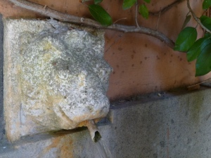 This eroded lion head fountain is the only source of water for our while building of 14 condos. He's over 100 years old.