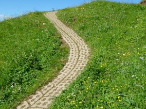 Across the delicate meadow "they" laid these concrete forms as a path, protecting the meadow from trampling and preserving the path. In some places the drop off below this "trail" was quite steep. One misstep and you'd roll for hundreds of feet. 