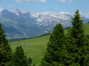 One of the fun aspects of hiking here is seeing the path you travel unfurl behind or in front of you.