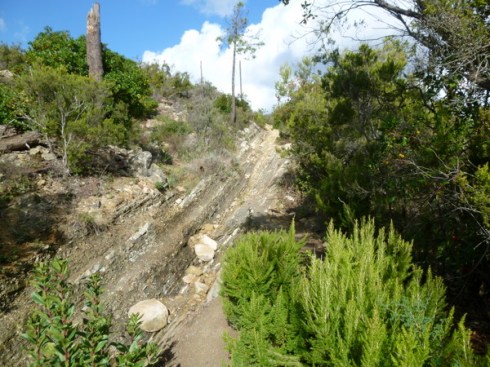 At a junction we couldn't decide if this was a stream bed or a path.... The path was in fact hidden to the right and then merged into he stream bed. 