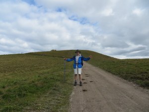 Similar view, same hill in the background, a little milder, with cow doo doo, in summer