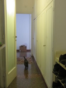 Many Italian apartments have a service hallway, leading to the kitchen, that can be closed off.  That's Janie trotting toward the camera. 