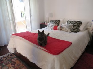 Janie models the bed.