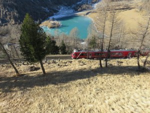 Bernina Express . Just threw this one in as a beauty shot.