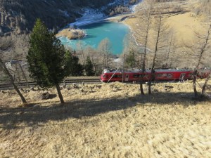Bernina Express . Just threw this one in as a beauty shot. 