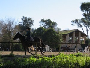 Equestrian center, Villa Ada.