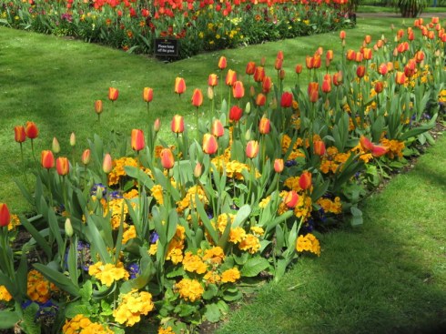 It may look like spring in London, but it was cold enough to waer gloves every day. The tulips did not care.