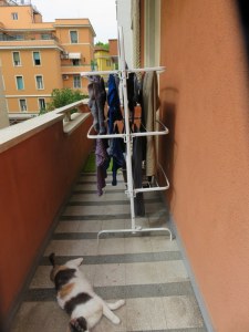 Drying rack on our terrace. It faces south, so when the weather is good the drying is fast. That's Libby in the foreground. 