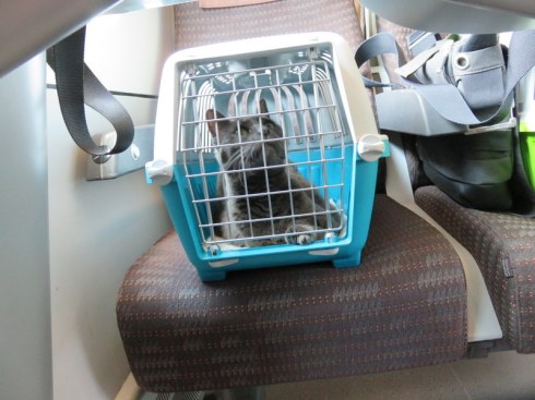 Janie showed a lot curiosity on the train.