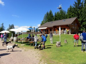 Marinzen is a lovely rifugio. Many people just ride up to hang out and not even hike. 