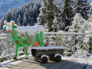 This little cow is at about 4900 feet. She has a freash dusting of snow and a great view of the Eiger, Mönch and Jungfrau.