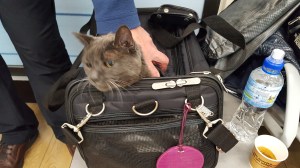 Waiting at FCO, Janie has a look around. 