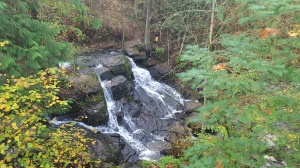 On our walk yesterday, a little waterfall. So very Oregon in the rainy season. 