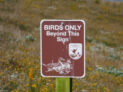 Birds Only sign